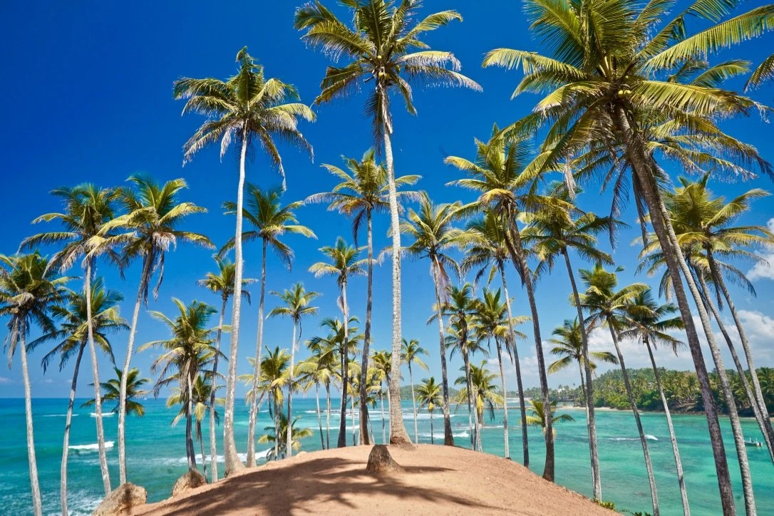 Mirissa, Sri Lanka: The Ultimate Tropical Paradise Guide 2025