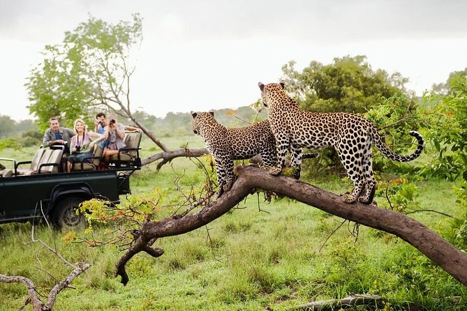 Yala National Park Sri Lanka: The Ultimate Wildlife Safari Experience in 2025