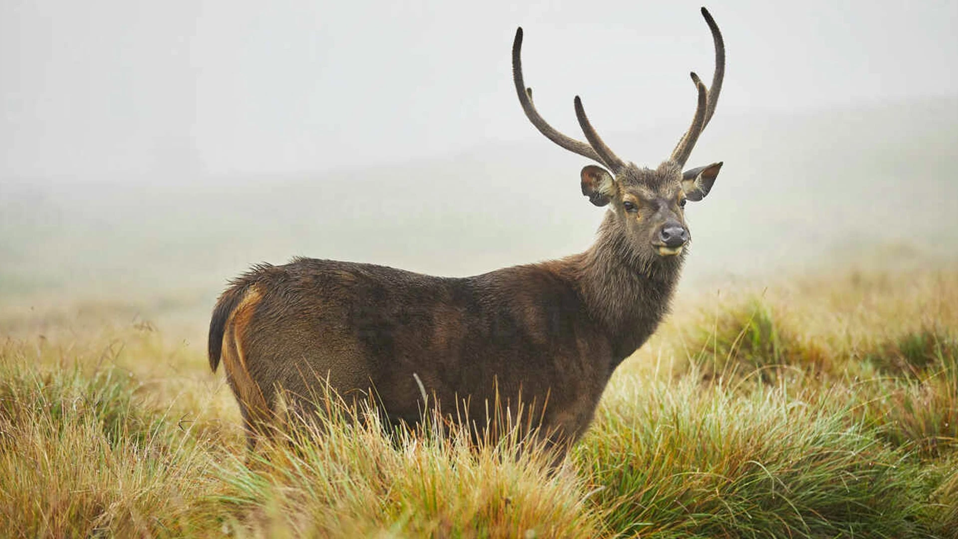 Horton Plains National Park