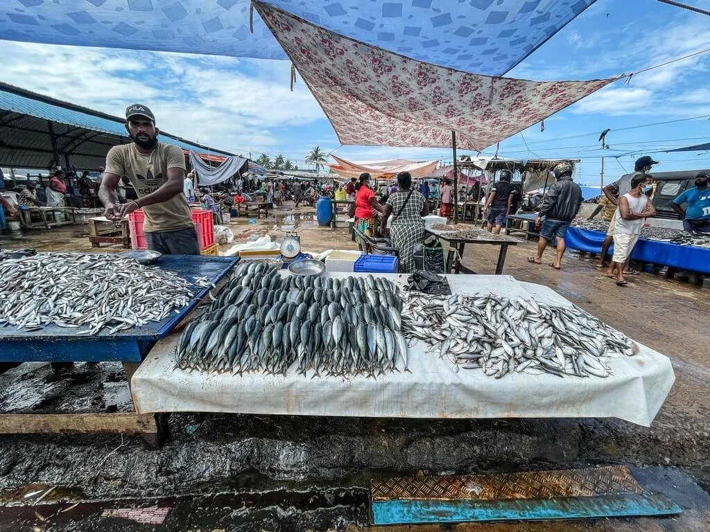 Negombo