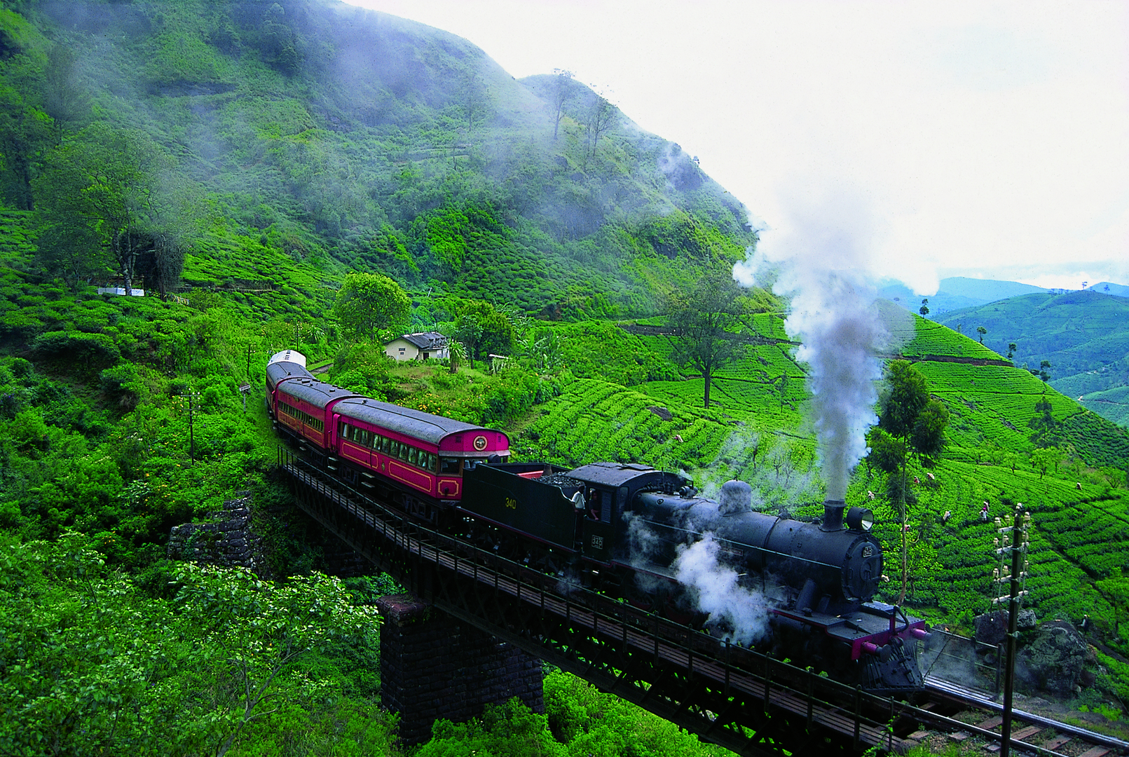 Nuwara Eliya