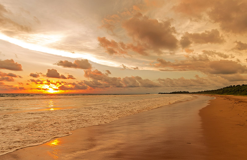 Galle